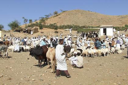 Monday market - Keren Eritrea.