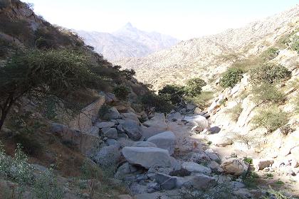 Rough landscape of the Dongolas Gorge - Road to Agordat Eritrea.