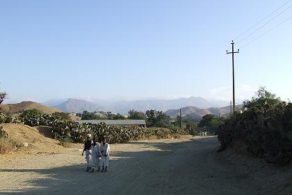 Road to Afabet - Keren Eritrea.