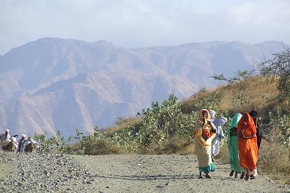 Road to Afabet - Keren Eritrea.