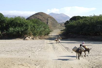 Crossing the Anseba riverbed between Fredarb and Muscha.