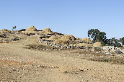 Haystacks  - Tsa'edakristyan Eritrea.