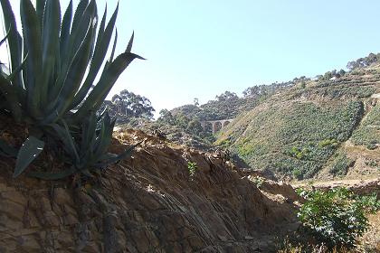 Scenic view through the valley - Asmara Massawa road Eritrea.