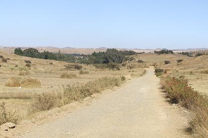 The road to Mai Sirwa - forking from the road to Keren Eritrea.