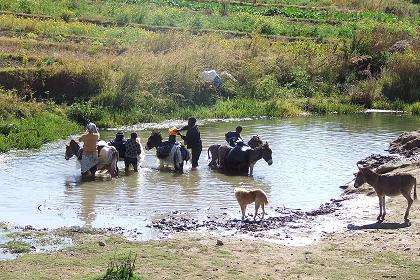 Water-carriers - Tse'azega Eritrea.