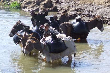 Water-carriers - Tse'azega Eritrea.