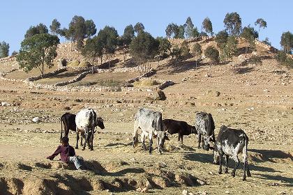 Scenic view - Adi Quonzi (on the road to Adi Yakob).