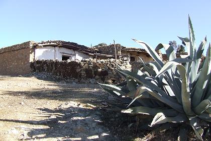 Traditional house - Adi Yakob Eritrea.