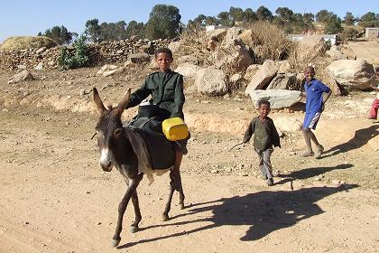 Water-carrier - Adi Yakob Eritrea.