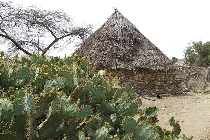 Traditional house - Keren Eritrea.