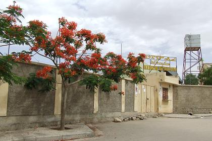 Football stadium - Keren Eritrea.