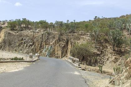 The road from Keren to Asmara.