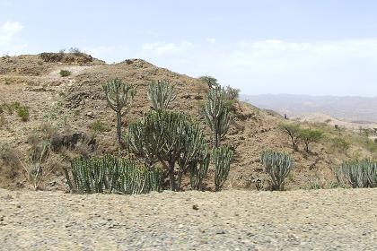 The landscape between Keren to Asmara.