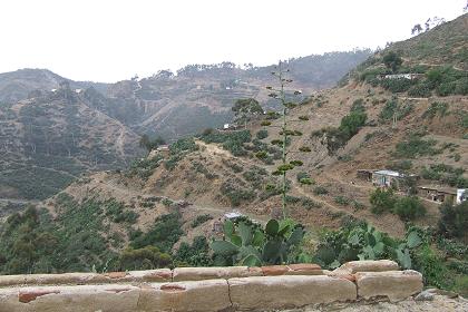 View from the road to Massawa.