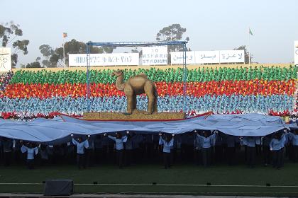 Show by students, Independence Day ceremonies - Asmara Stadium.