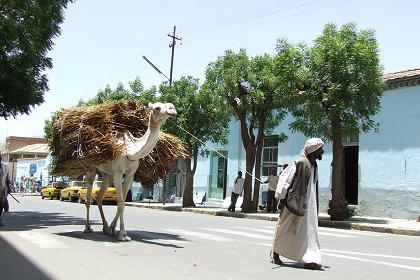 Local scenery - Keren Eritrea.