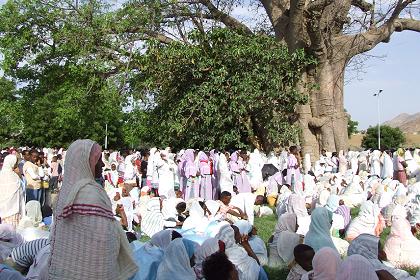 Women gathered around the baobab tree - Keren Eritrea.