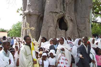 Procession around the tree - Festival of Mariam Dearit - Keren Eritrea.