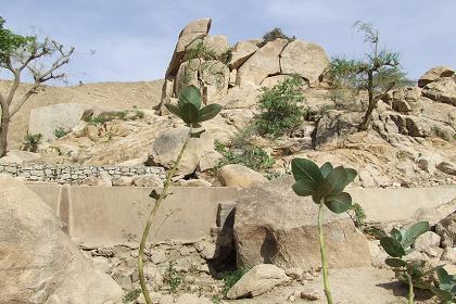 The landscape near Ciuf Ciufit - Keren Eritrea.