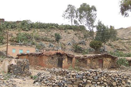Traditional houses Tselot Lalay (Upper Tselot) - Tselot Eritrea.