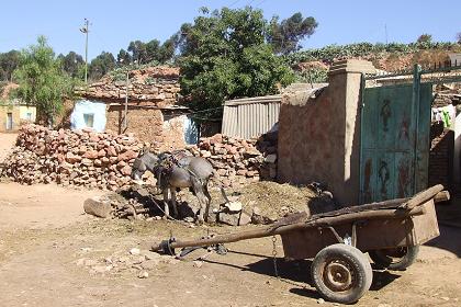 Shanty village - Arbaete Asmara Eritrea.