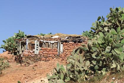 Shanty village - Arbaete Asmara Eritrea.