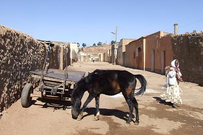 Dahlak Kebir Street - Arbaete Asmara Eritrea.