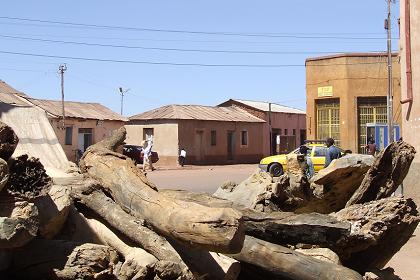 Firewood - Edaga Arbi Asmara Eritrea.