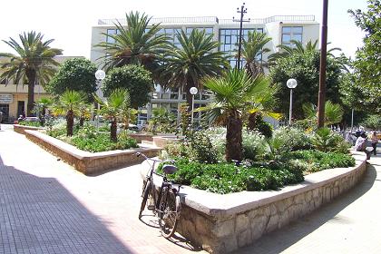 Park & municipality offices - Asmara Eritrea.