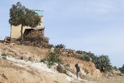 Landscape - Adi Nefas Eritrea.