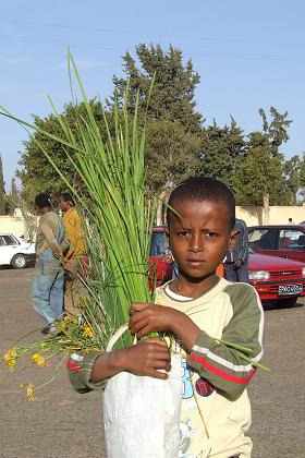 Nigdet of the St. Michael Church - Senita Asmara Eritrea.