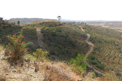 Panoramic view - Martyrs Park Kahawta Asmara Eritrea.