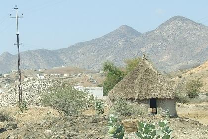 View on the animal market from Mariam Dearit - Keren Eritrea.