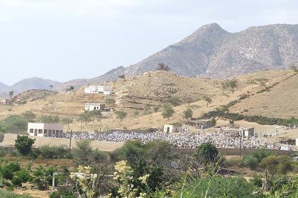 View on the animal market from Mariam Dearit - Keren Eritrea.