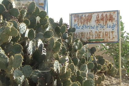 The road to the Mariam Dearit shrine - Keren Eritrea.