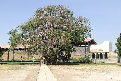 "Come no nearer. Take off your sandals, for the place where you are standing is holy ground" (Ex.3.5) - St Mariam Dearit Keren Eritrea.