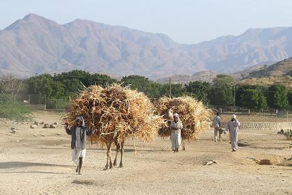 Crossing a dry river bed - Road to Hamel Malo Eritrea.