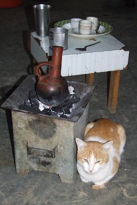 Hansu's cat warming itself against the fornello - Keren Eritrea.