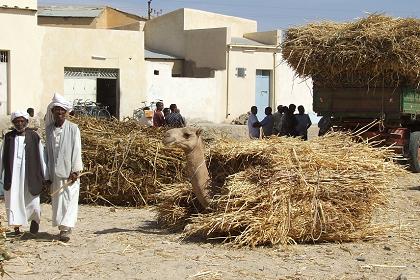 Straw market - Keren Eritrea.