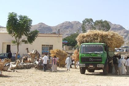 Straw market - Keren Eritrea.