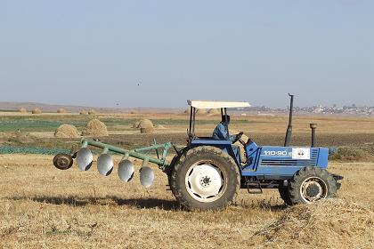 Ploughing the fields - Kushet Asmara Eritrea.