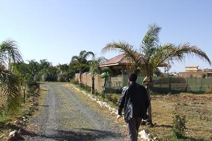 Techno Garden Center - Kushet Asmara Eritrea.