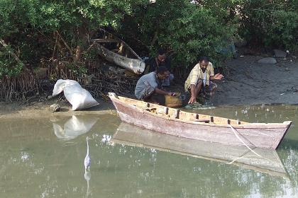 Fishermen between the mangroves - Massawa Eritrea.
