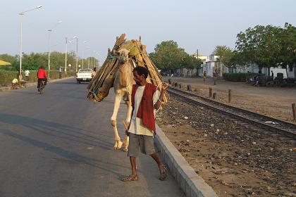 Carrying firewood to the market - Edaga Berai Massawa Eritrea.