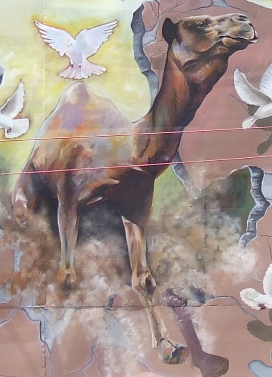 Detail: The camels role in the 30 year march for freedom.