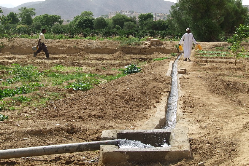 Irrigated farmland - Keren Eritrea.