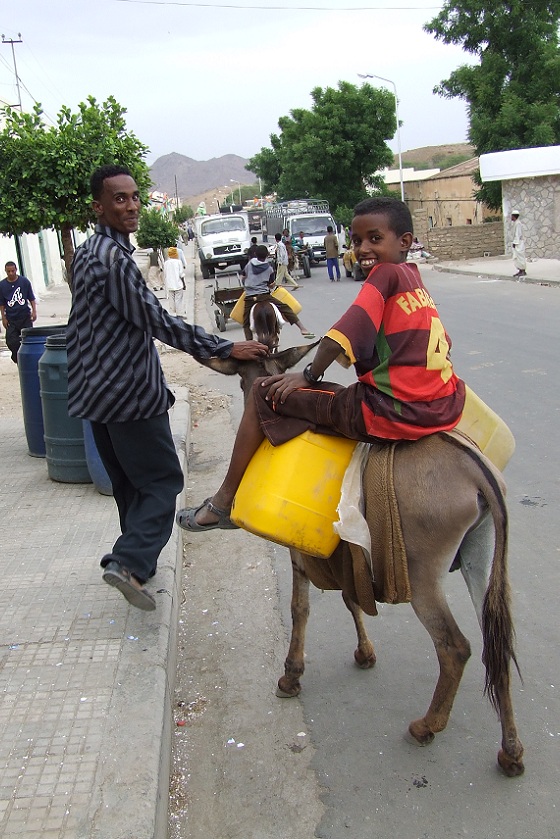 Donkey (adgi) transport - Keren Eritrea.