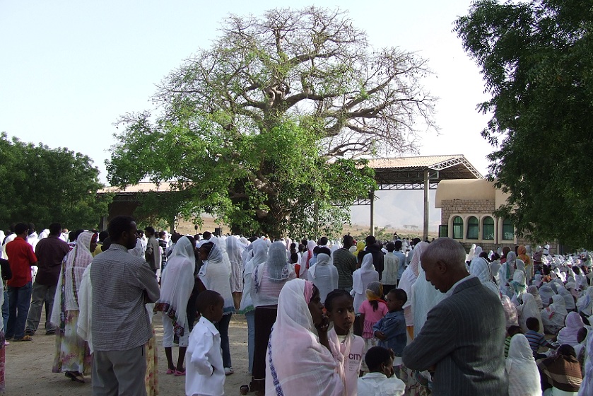 People gathered around the
      holy tree - Mariam Dearit Keren Eritrea.
