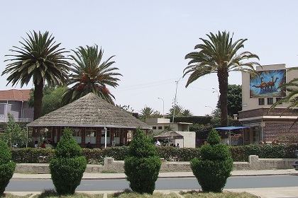 City Park - Sematat Avenue Asmara Eritrea.