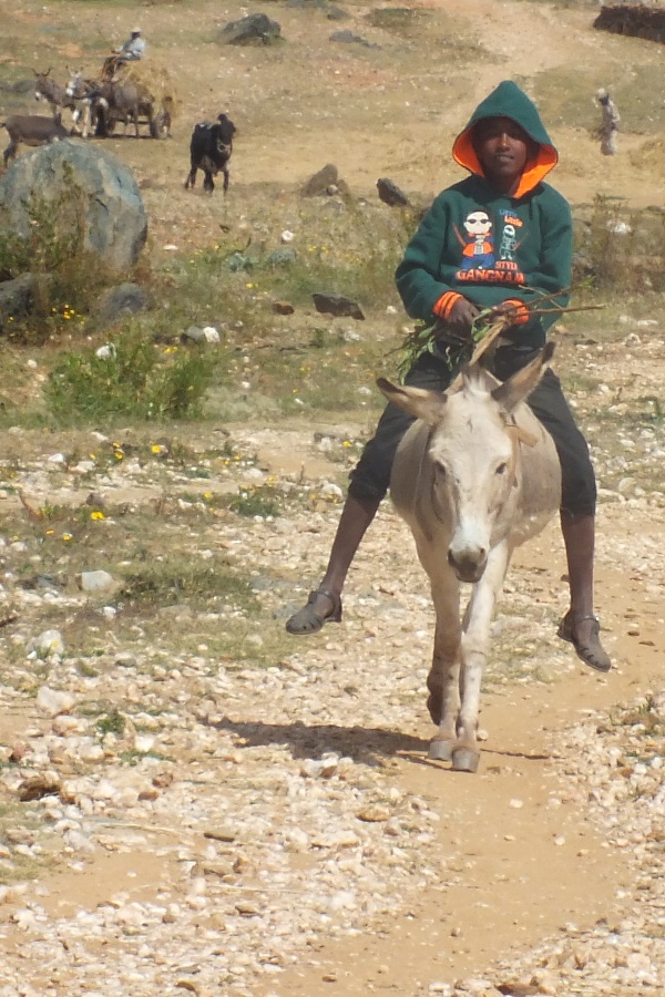 Oncoming trafic - Shortcut to Adi Nefas Asmara Eritrea.